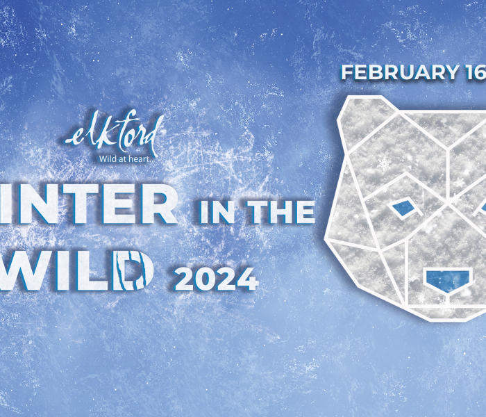 Winter In The Wild 2024 Official Brochure Map District Of Elkford   Website Header2 